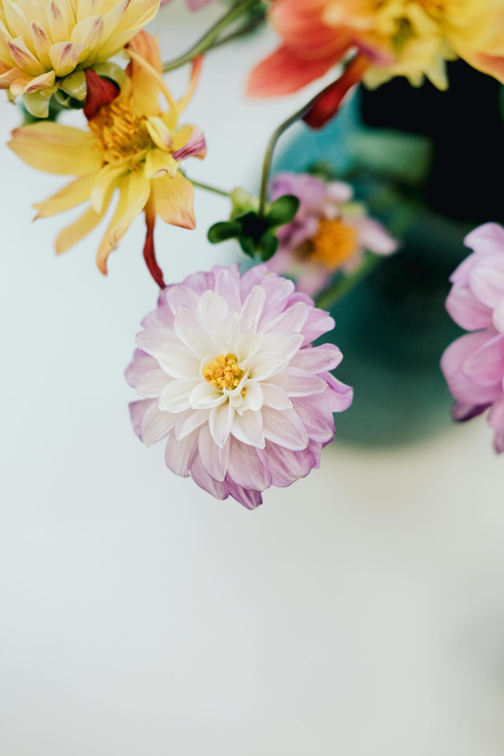 How to Grow a Cut Flower Garden for Stunning Arrangements
