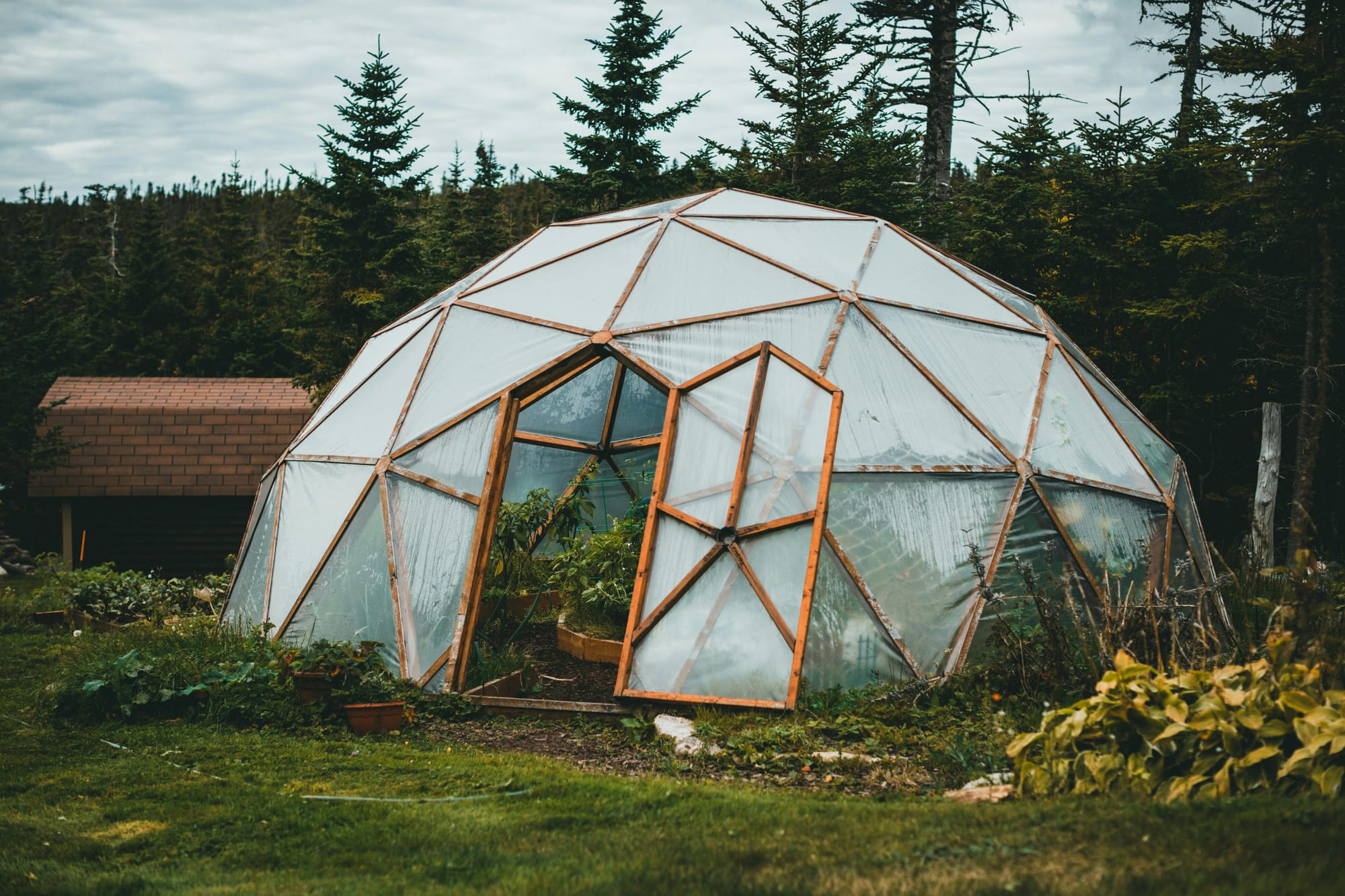 How to Build a Simple DIY Greenhouse: A Beginner's Guide