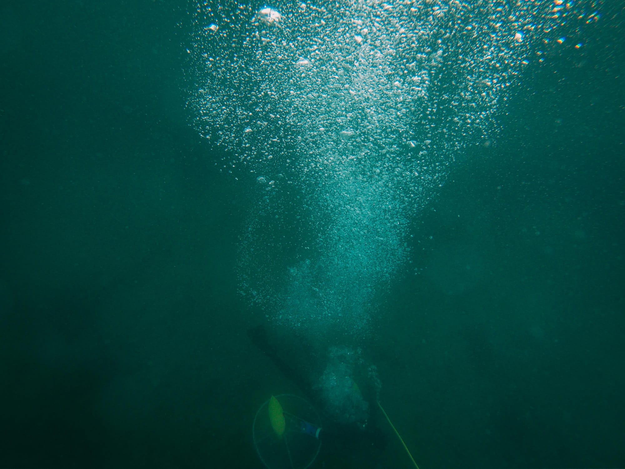 Tragedy in the Deep: A Mother's Tale of Titanic Dive
