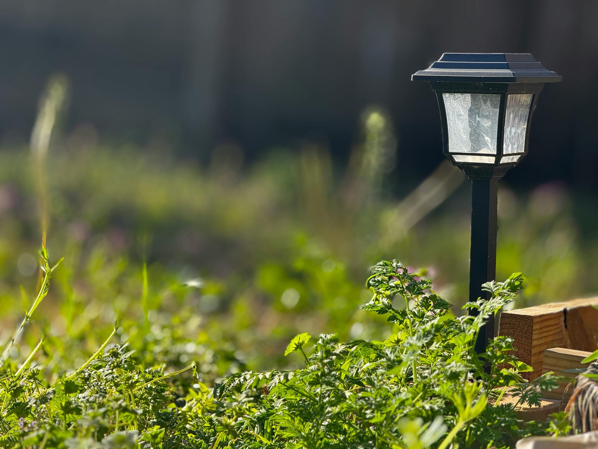 Shoppers race to buy 'beautiful' garden solar lamp posts now cheaper than Amazon