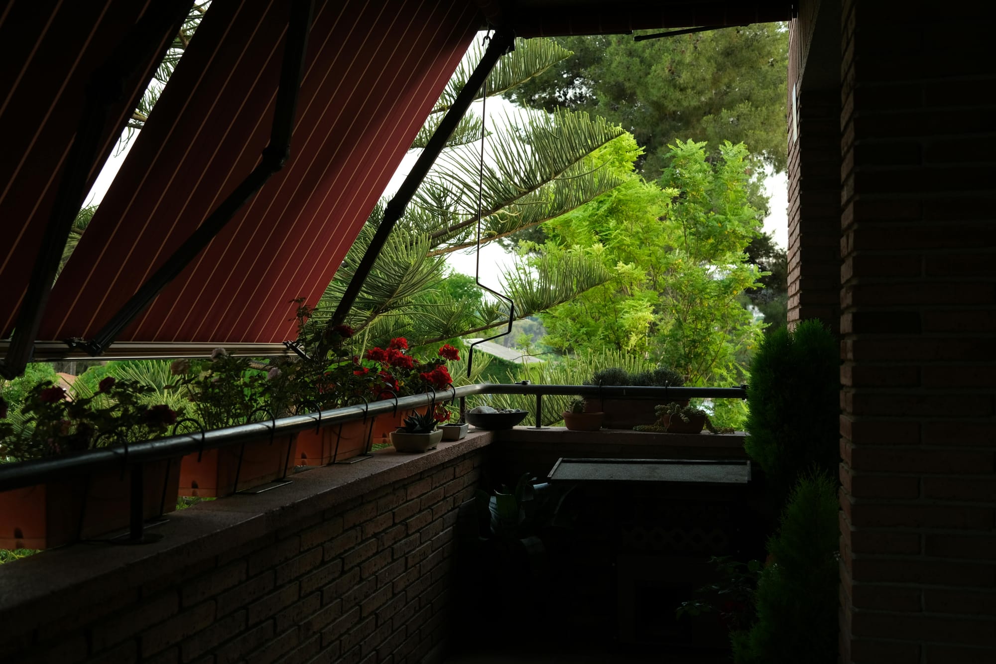 How to Stop Balcony Containers Overheating by June – 5 Smart and Stylish Tips to Cool Plants and Create Shade